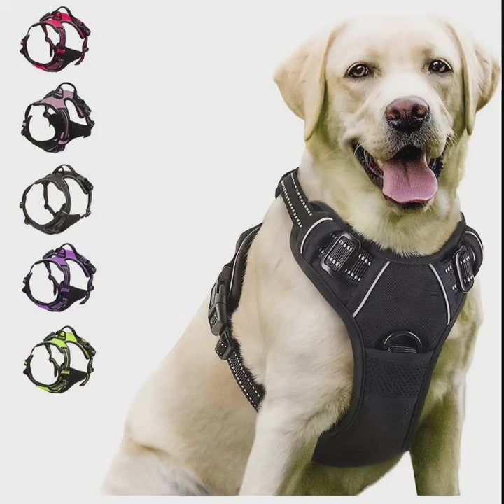 LeadEase™ No-Pull Dog Harness